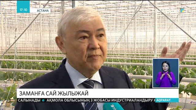 Қара топырақта емес, минералды мақтаның үстіне өскен қияр мен қызанақ