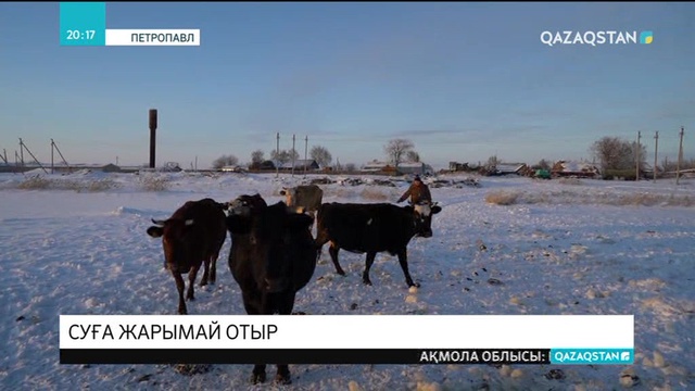 Петропавл іргесіндегі Воскресенов ауылының тұрғындары ауызсуға жарымай отыр