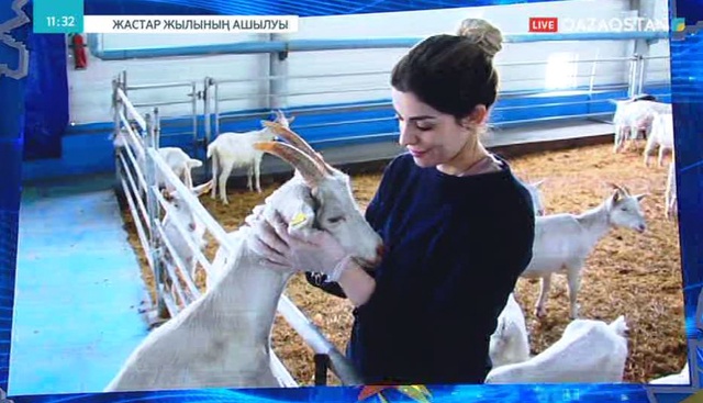 Астанада алма бағы ашылуы мүмкін