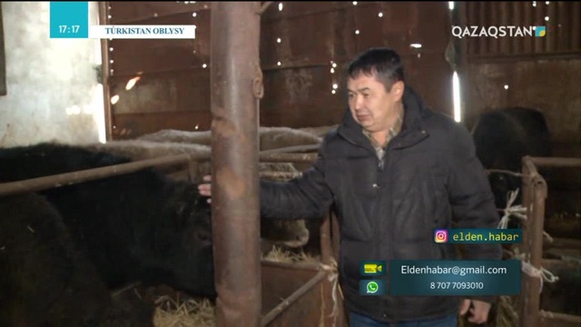 24.01.2019 - Elden habar (Елден хабар) (Толық нұсқа)