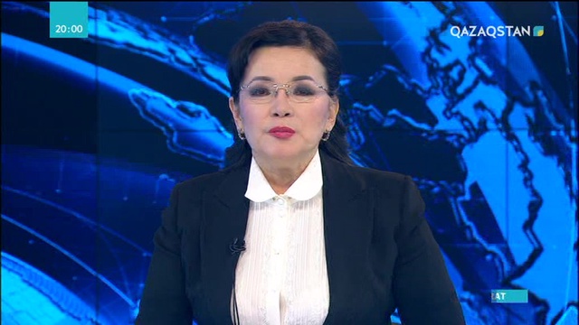 Елбасы Ұлттық банк төрағасын қабылдады