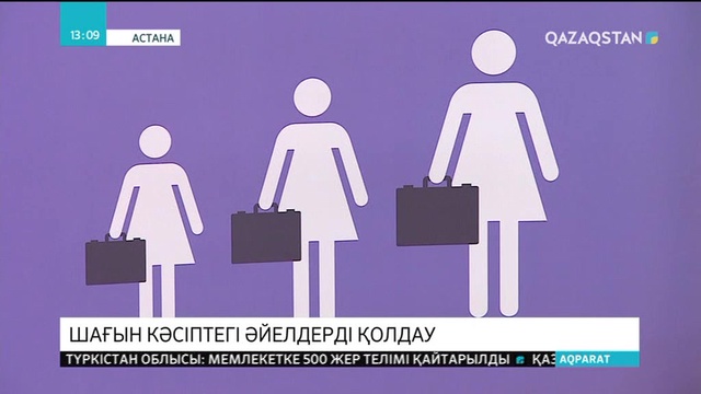 «Шағын кәсіптегі әйелдер» бағдарламасы іске қосылды