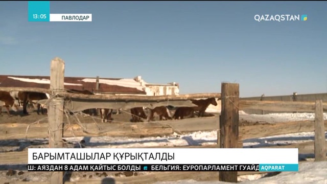 Павлодар облысында 3 барымташы топ ұсталды