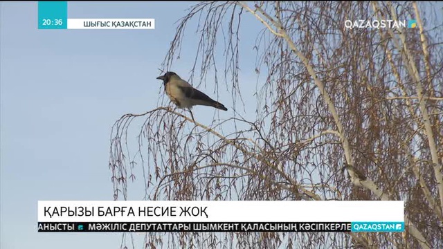 Қарызға батқандар несиеден қағылады
