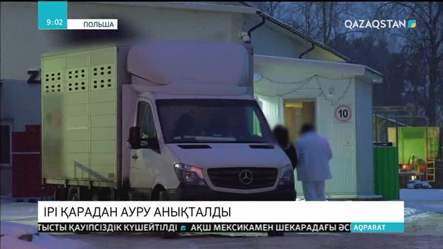 Польшада сиыр етіне қатысты дау жалғасып жатыр