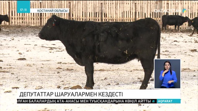Қостанайда Парламент депуттары ауыл шаруашылығы еңбеккерлерімен кездесті