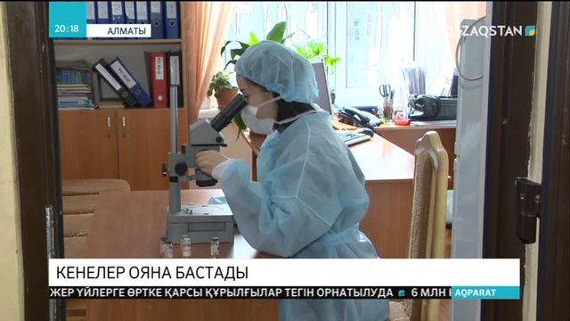 Алматыда 4 адамды кене шақты