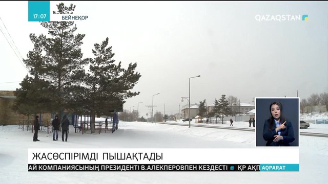 Жасөспірімді пышақтап кетті