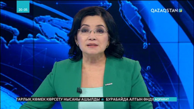 Астанада көшедегі қоқыс жәшіктерін металл қабылдау орындарына өткізгендер ұсталды