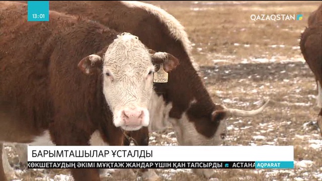 Қарағанды облысында барымташылар ұсталды