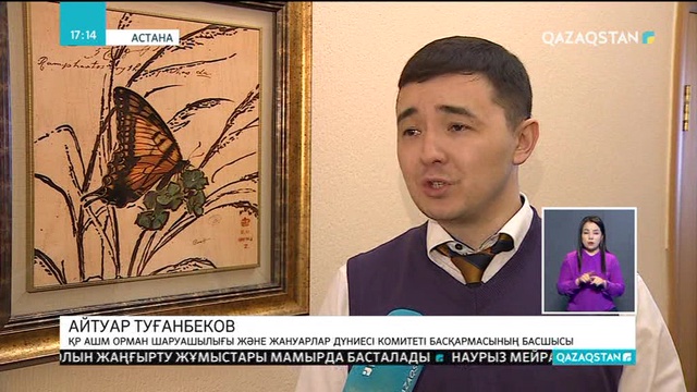Аң аулау тәртібін жетілдіру керек