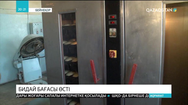 Қостанай облысында бидай бағасы 40 пайызға дейін қымбаттады