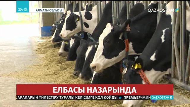 «Байсерке Агро» серіктестігі өндіріске Еуропаның ең озық технологияларын енгізген