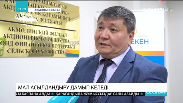 Ақмола облысында мал шаруашылығы дамып келеді