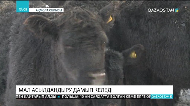29.03.2019 - Ақпарат - 13:00 (Толық нұсқа)