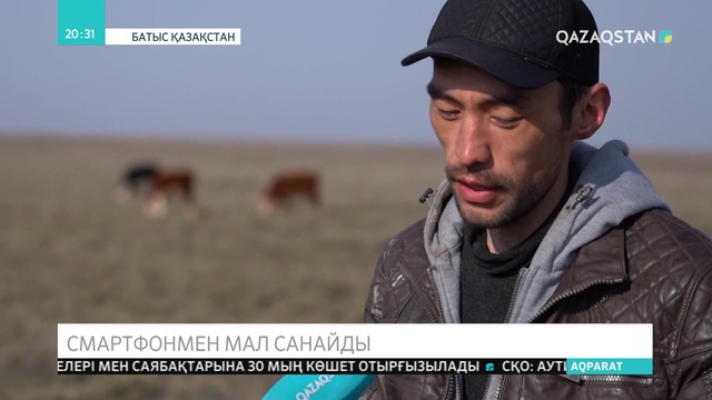 БҚО-да жас кәсіпкер мал санағын жүргізетін мобильді қосымша ойлап тапты