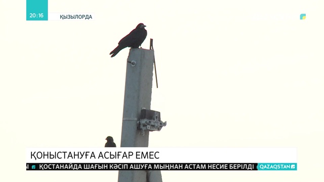 Қызылордалықтар жаңа мөлтек ауданға қоныстануға асығар емес