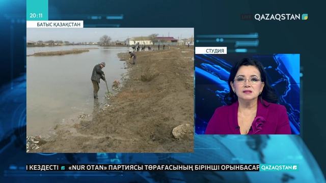 Батыс Қазақстанның Қарасу тоғанында жаппай балық қырылып жатыр