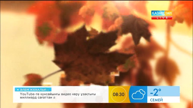 Әлем елдерінде «алғыс айту күні» қалай тойланады?