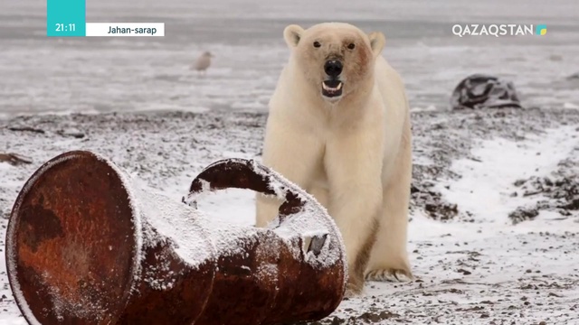 14.04.2019 – Jahan-sarap (Жаһан-сарап). Халықаралық-саяси сараптамалық шолу. 5-бағдарлама (Толық нұсқа)