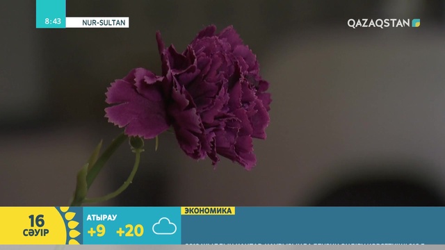 16.04.2019 – Tańsholpan (Таңшолпан). Таңғы ақпаратты-сазды бағдарлама (Толық нұсқа)