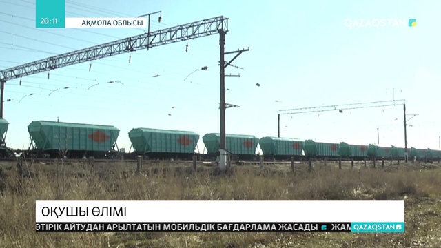 Ақмола облысында сенбілік кезінде оқушы мерт болды