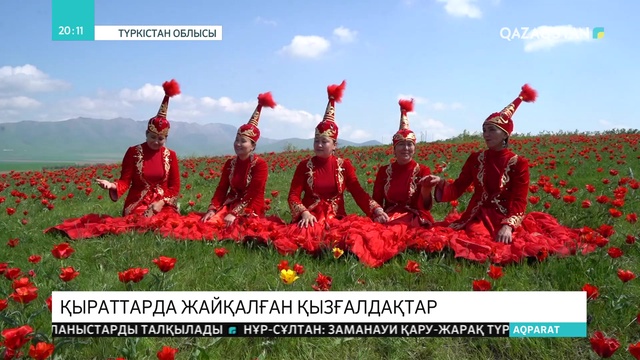 Түркістан облысында қызғалдақ фестивалі басталды