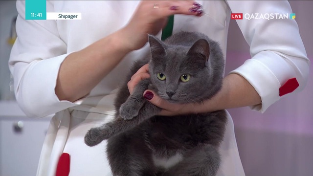 20.04.2019 - Shipager (Шипагер) - Аллергиялық ринит, конъюктивит (маусымдық аллергия) (Толық нұсқа)