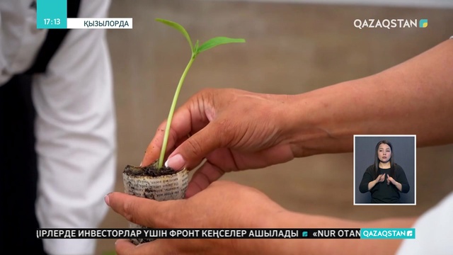 Қызылорданың Талсуат ауылындағы мектепте жылыжай іске қосылды