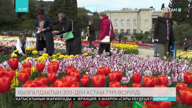 Қырымдағы Никитский ботаникалық бағында қызғалдақтың 300-ден астам түрі өсірілуде