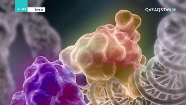 26.04.2019 – Serpin (Серпін). 8-бағдарлама. Айдос Есмағамбетов, Мақсат Жабағин (Толық нұсқа)