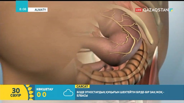 Бауыр ауруларын тудыратын факторлар