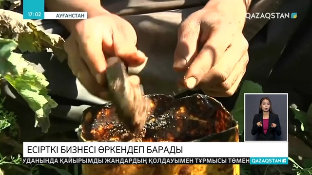 Ауғанстанға «нарко мемлекетке» айналу қаупі төніп тұр