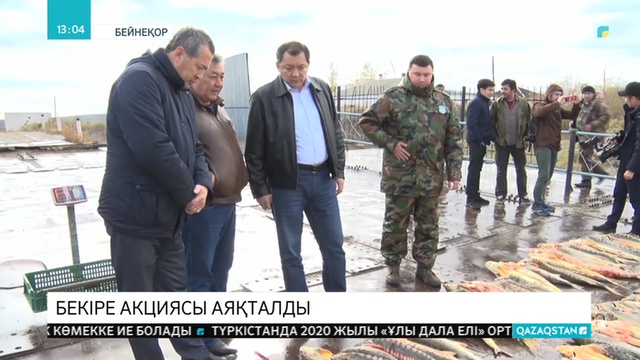 Еліміздің батыс аймақтарында басталған «Бекіре» балық қорын қорғау акциясы аяқталды