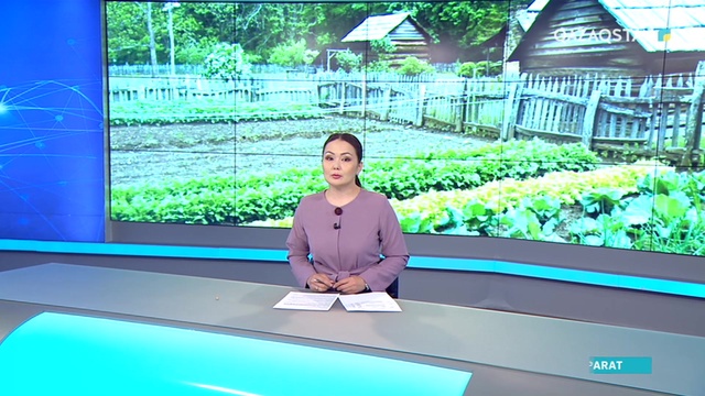 Алматы облысында бейресми мәлімет бойынша 150-200 мыңдай адам саяжайда тұрып жатыр