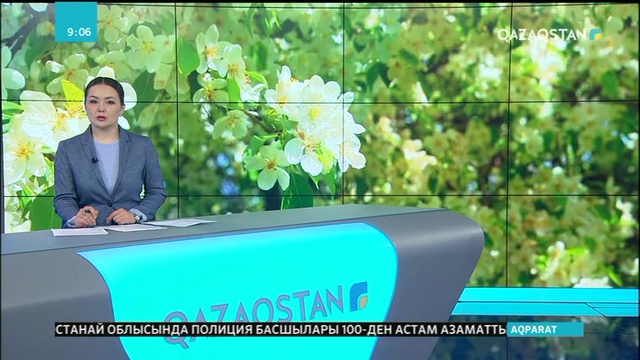 Жетісулықтар  екінші жыл қатарынан сиверс алмасының фестивалін ұйымдастырды