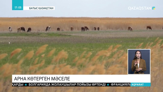 Ұлттық арна көтерген мәселе қылмыстың жедел ашылуына ықпал етті