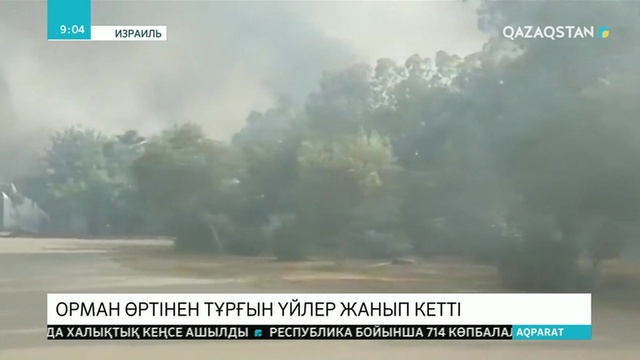 Израильде орман өртінен 10-нан астам үй жанып кетті