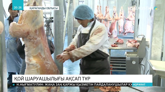 Қой шаруашылығы ақсап тұр