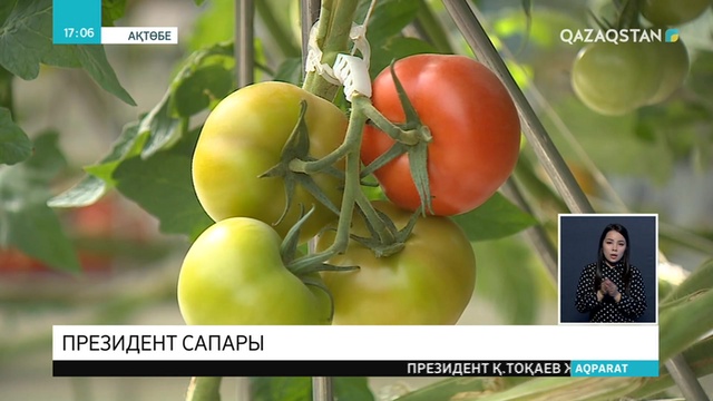 Қасым-Жомарт Тоқаев Ақтөбедегі бірқатар кешенді аралады