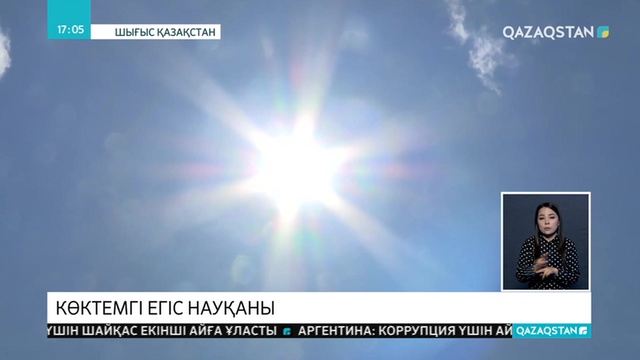 ШҚО-да көктемгі егіс жұмыстары қызу жүріп жатыр