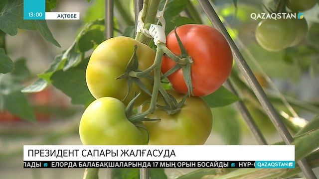 Мемлекет басшысының Ақтөбе облысындағы жұмыс сапары басталды