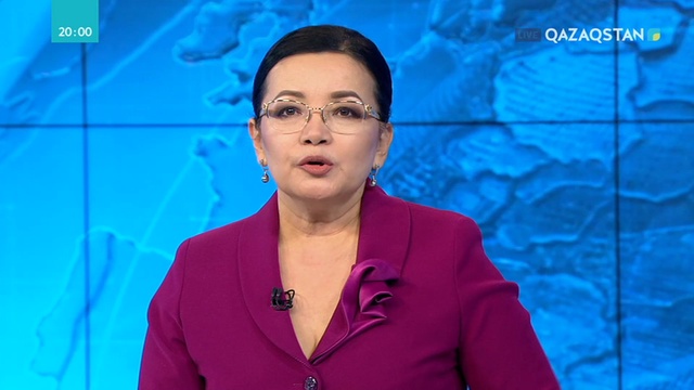 Елбасы  Б. Сапарбаевты қабылдады