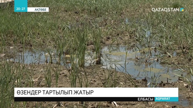 Ақтөбе облысында өзендер тартылып жатыр