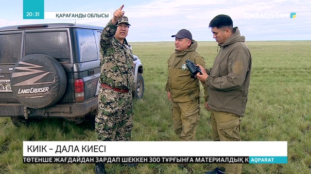 Қазақ даласында киіктер төлдеп жатыр