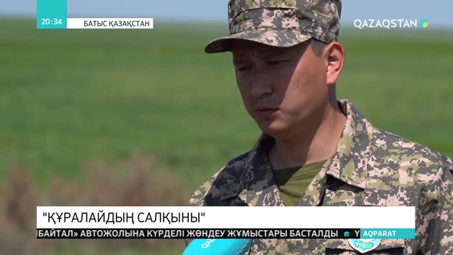 БҚО-да киіктер төлдеп жатыр