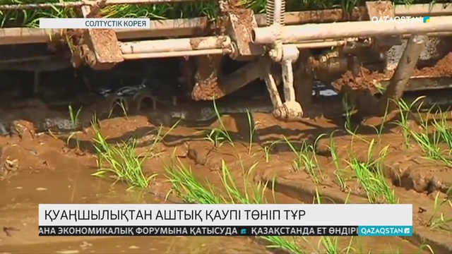 16.05.2019 - Ақпарат - 13:00 (Толық нұсқа)