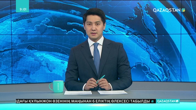 Қызылордада жеке кәсіпкер өз иелігіндегі жерді пайдалана алмай жүр