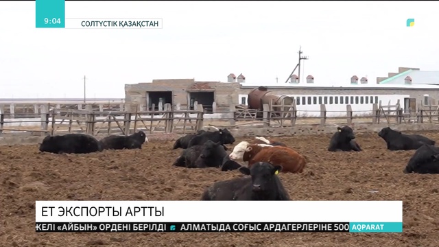 СҚО-да ет экспорты артты