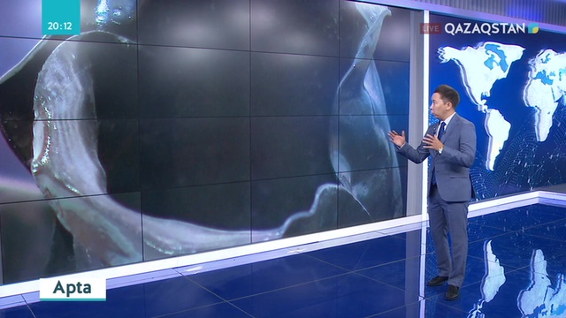 Зобалаң заманда жұртымыздың 80 пайызы қынадай қырылған